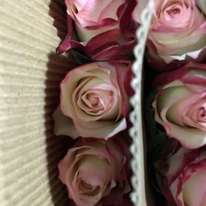 Fresh Cut Flower Rose -Red LipStick