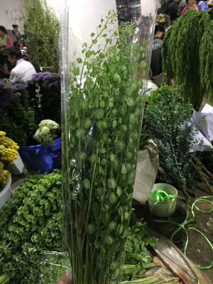 Greenery and Foliage-Crisp fan