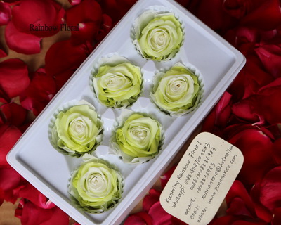 5-6CM(6pcs-box) Bi-color preserved rose head-02