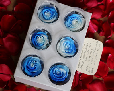5-6CM(6pcs-box) Bi-color preserved rose head-11