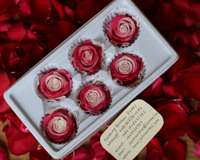 5-6CM(6pcs-box) Bi-color preserved rose head-01