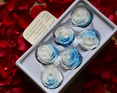 5-6CM(6pcs-box) Bi-color preserved rose head-10
