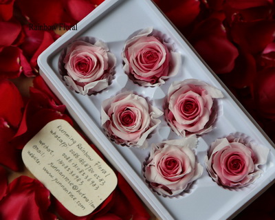 5-6CM(6pcs-box) Bi-color preserved rose head-06