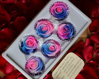 5-6CM(6pcs-box) Bi-color preserved rose head-09