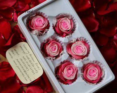 5-6CM(6pcs-box) Bi-color preserved rose head-07