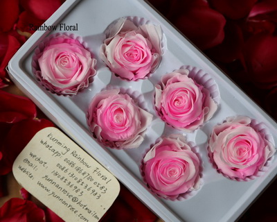 5-6CM(6pcs-box) Bi-color preserved rose head-04