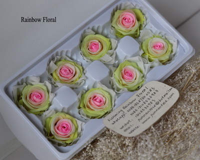 4-5CM (8pcs-box) Bi-color preserved rose head-09