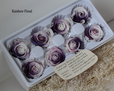 4-5CM (8pcs-box) Bi-color preserved rose head-06