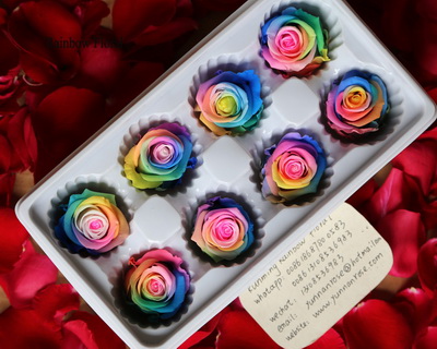 4-5CM (8pcs-box) Bi-color preserved rose head-03