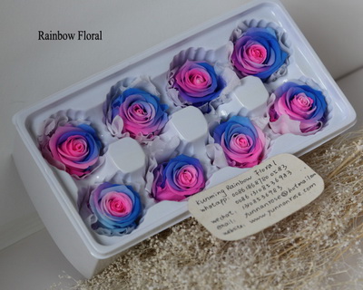 4-5CM (8pcs-box) Bi-color preserved rose head-05