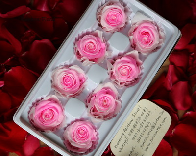 4-5CM (8pcs-box) Bi-color preserved rose head-02