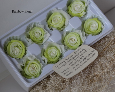 4-5CM (8pcs-box) Bi-color preserved rose head-07