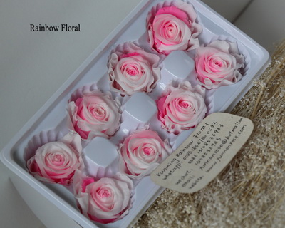 4-5CM (8pcs-box) Bi-color preserved rose head-08