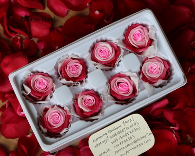 4-5CM (8pcs-box) Bi-color preserved rose head-01