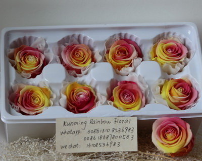 4-5CM (8pcs-box) Bi-color preserved rose head-11