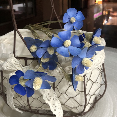 Dried Voliet Flowers-06