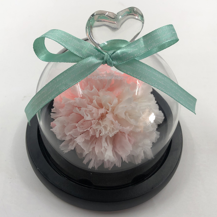 Preservced Carnation flowers-04