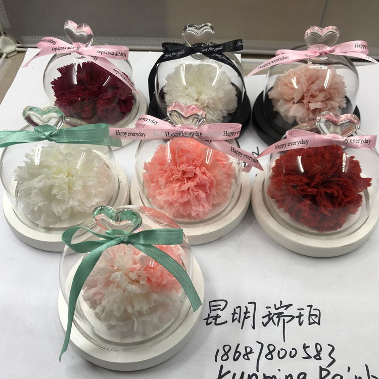 Preservced Carnation flowers-06