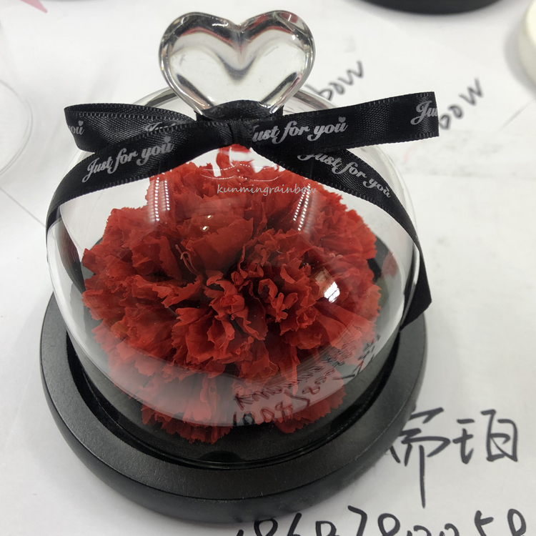 Preservced Carnation flowers-01