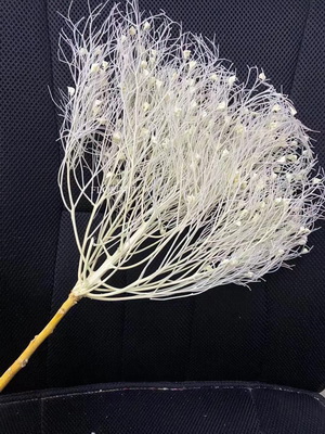 Preserved Dreamy Grass Flower-01