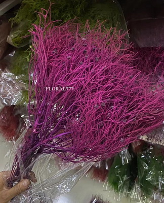 Preserved Dreamy Grass Flower-06