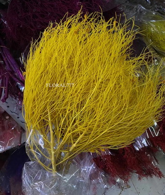 Preserved Dreamy Grass Flower-04