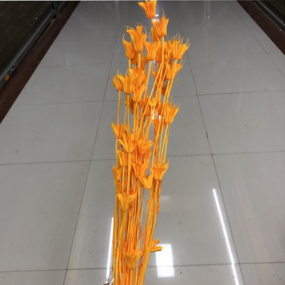 Dried Octagonal Flowers-06